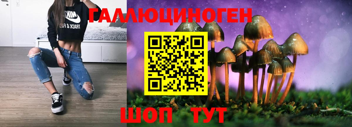 Псилоцибиновые грибы прущие грибы  Вход с VPN  Топки 